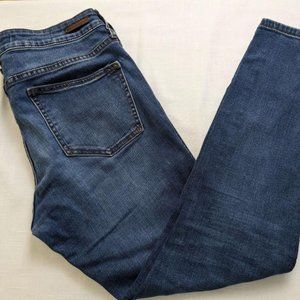 Pilcro and the Letter Press Mid Rise Skinny Jeans